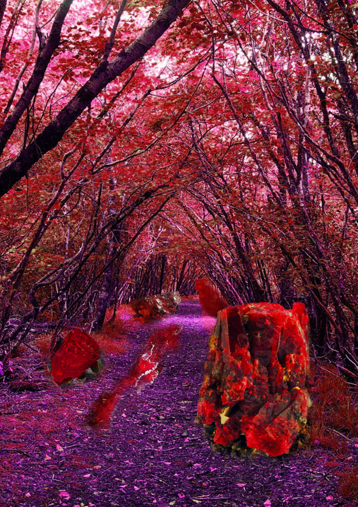 Juxtaposition - The Ruby Forest